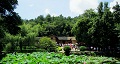 長(zhǎng)沙出發(fā)到花明樓、韶山、張家界國家森林公園、天門仙山國家森林公園四日游